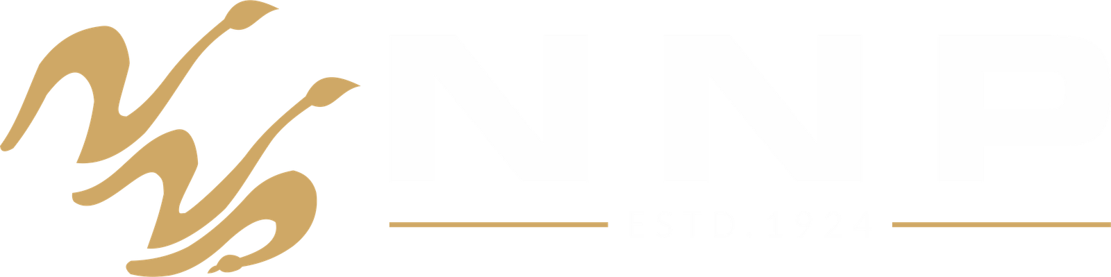 NNP logo